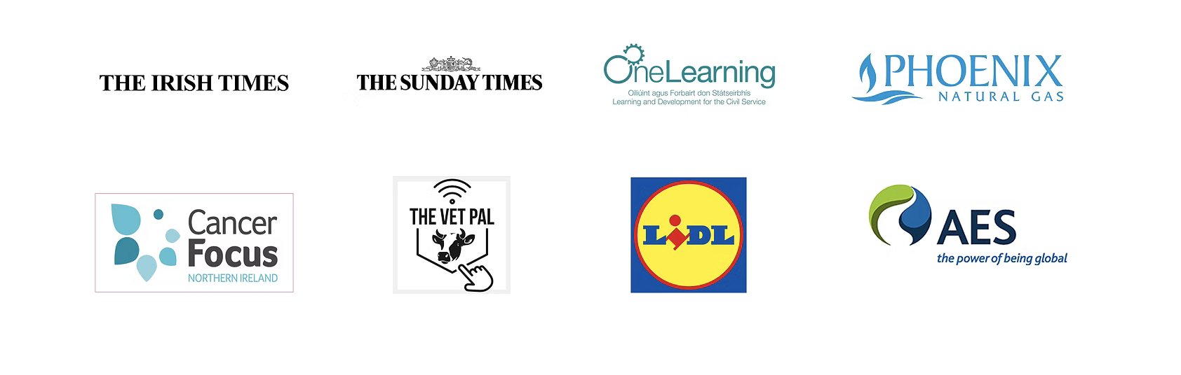 Client logos: The Irish Times, The Sunday Times, OneLearning, Phoenix Natural Gas, Cancer Focus NI, The Vet Pal, Lidl, AES